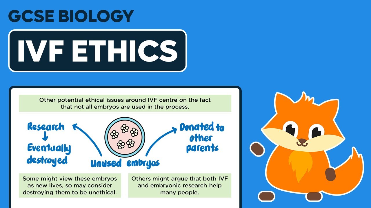 IVF Ethics - GCSE Biology