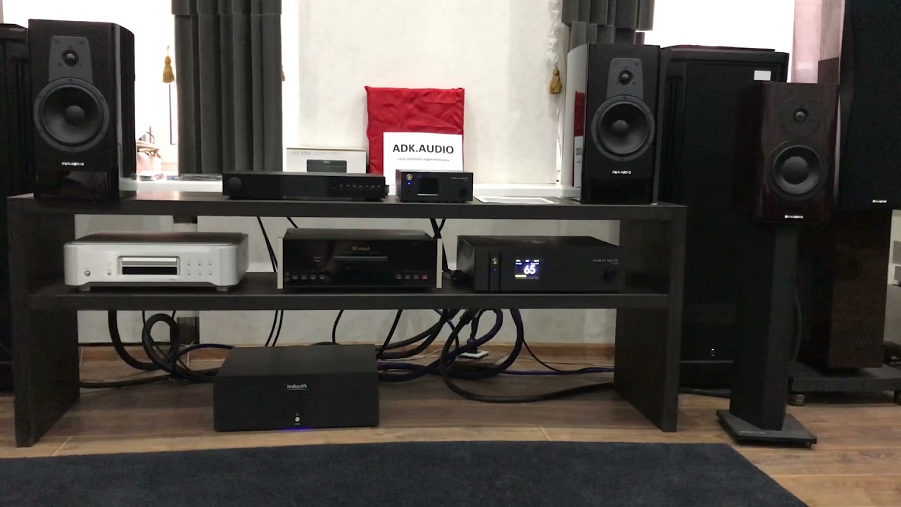Dynaudio special forty + gold note is1000