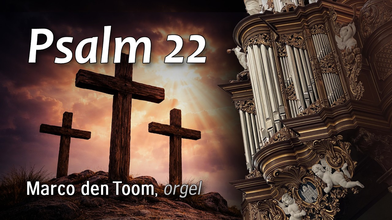 MARCO DEN TOOM | Psalm 22  (improvisatie) Bovenkerk, Kampen