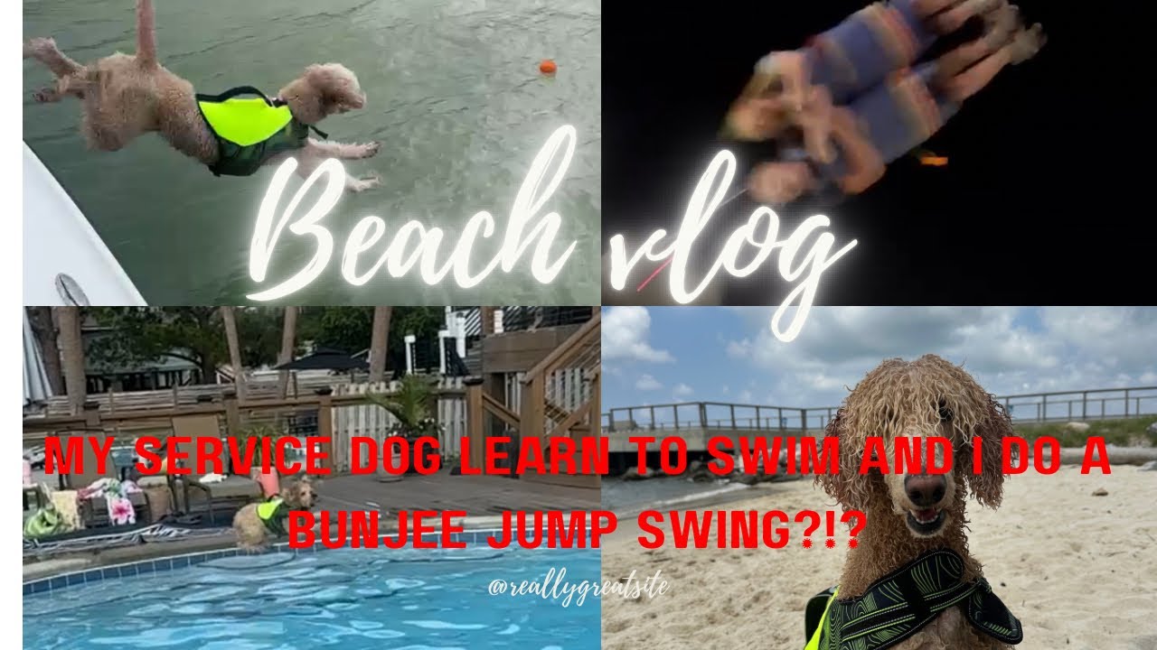 BEACH VLOG WITH A SERVICE DOG! ( travel vlog  4)