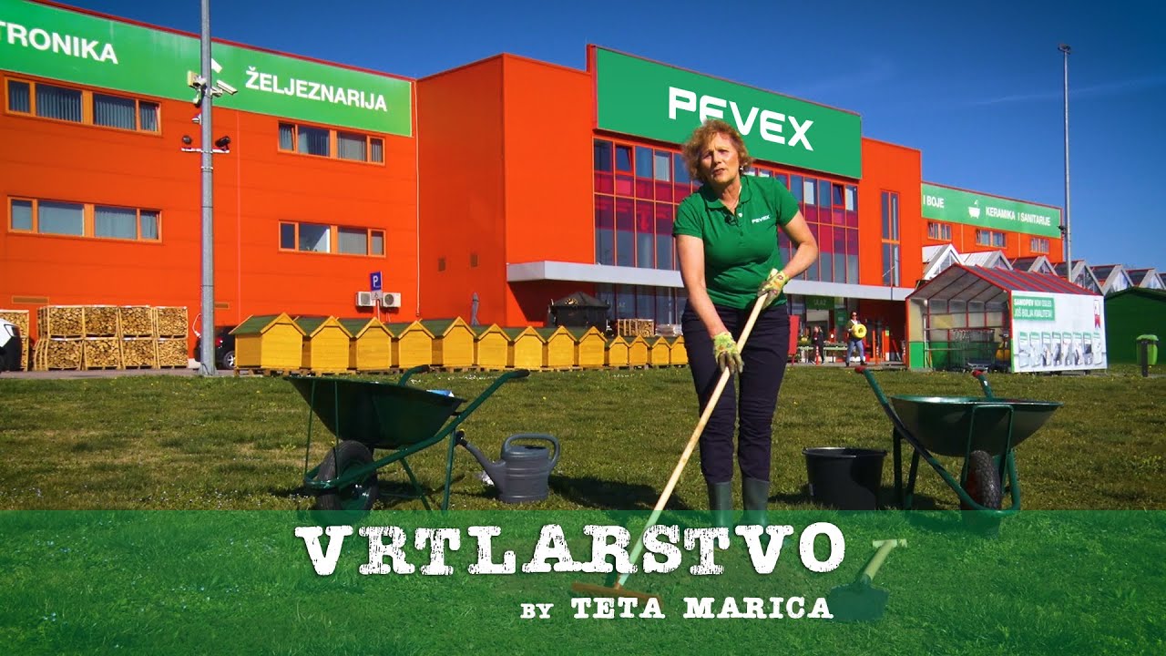 Vrtlarstvo by Teta Marica - Sadnja ruže