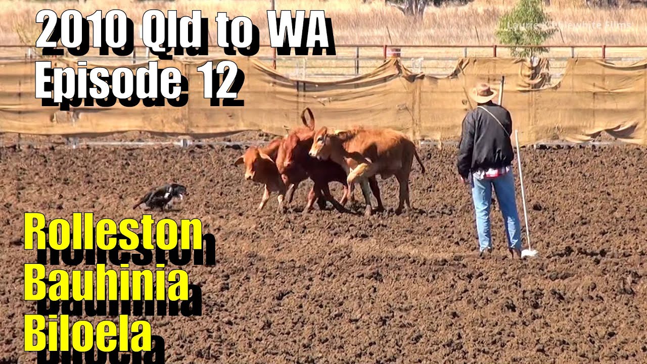 2010 QLD TO WA EP 12 - Rolleston, Bauhinia, Moura, Biloela
