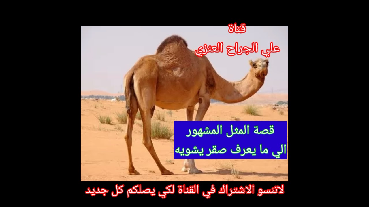 قصة المثل المشهور الي مايعرف صقر يشويه
