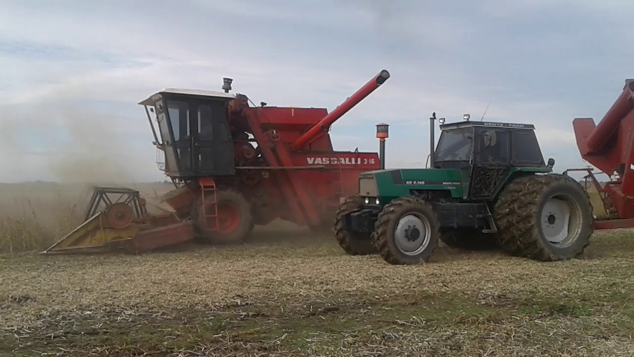 Vasalli 1200 vs 316