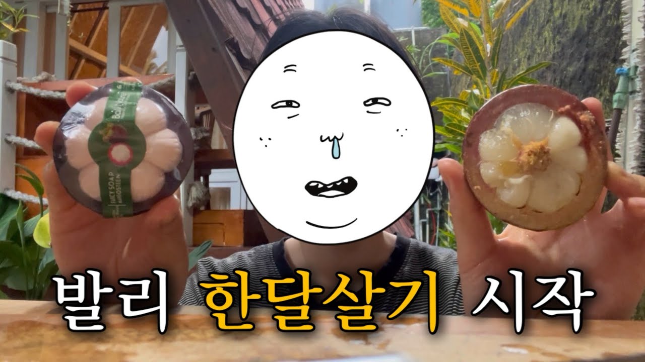 발리 오자마자 감기 걸려서 골골거리는 브이로그