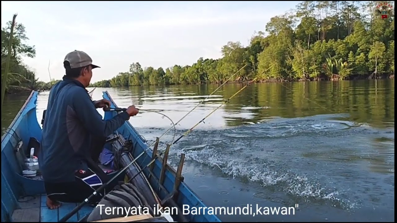 Untuk pertama kali,Strike ikan Barramundi menggunakan joran Reel