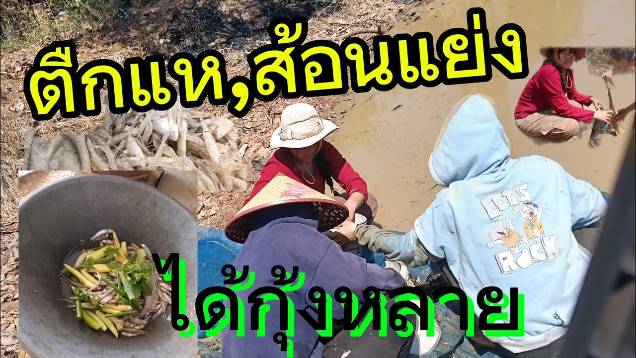 ##ตืกแห@ส้อนแย่ง##ยู่หนองกางนา