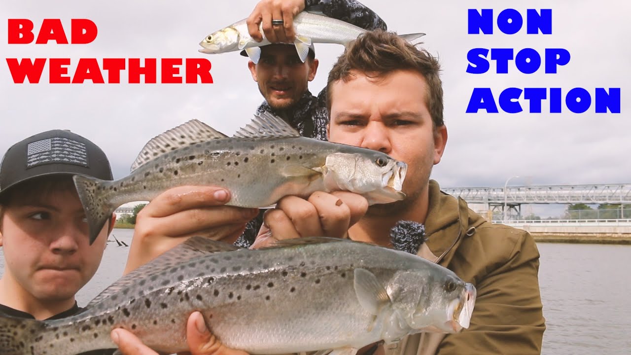 Catching Trout, Jacks and Ladyfish on Rainy Windy Day
