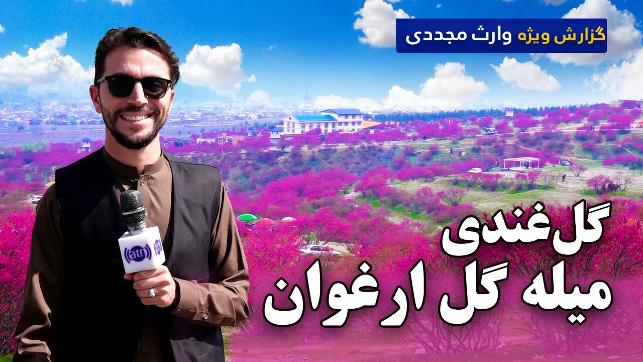 گلغندی، میله گل ارغوان در گزارش ویژه وارث مجددی