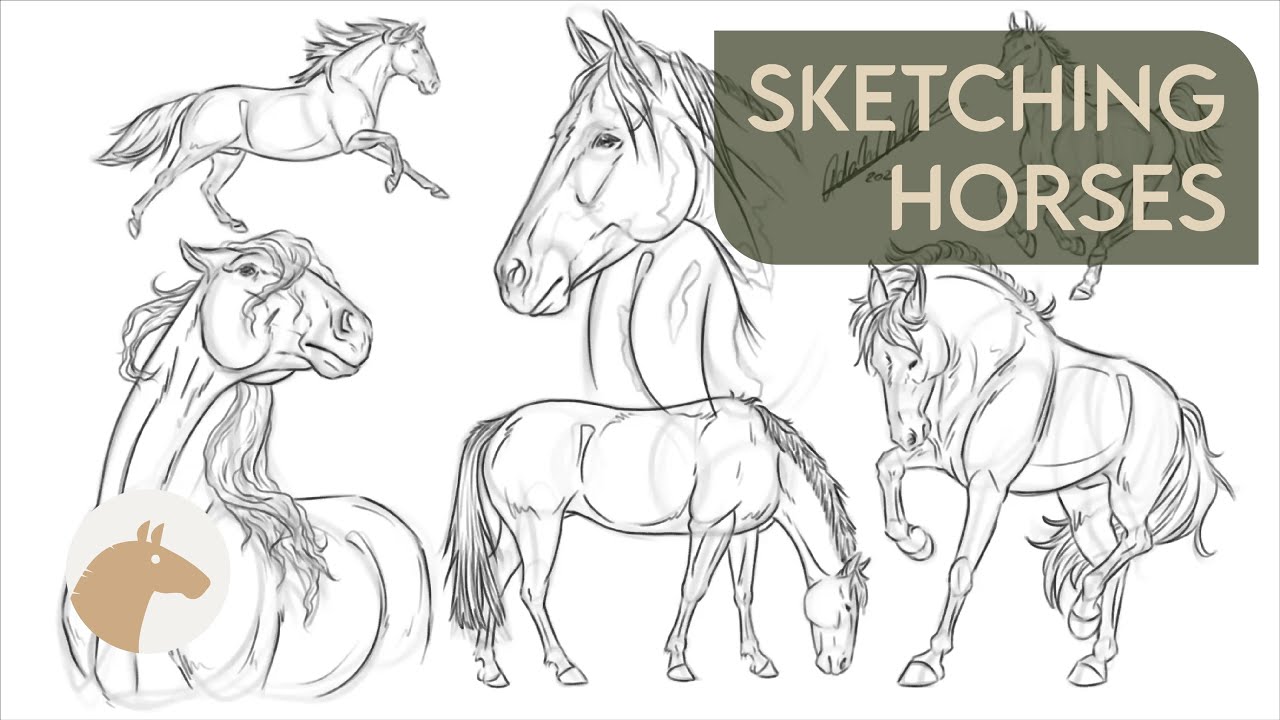 Sketching Horses | 09.01.2024 | Equitación Sin Estrés
