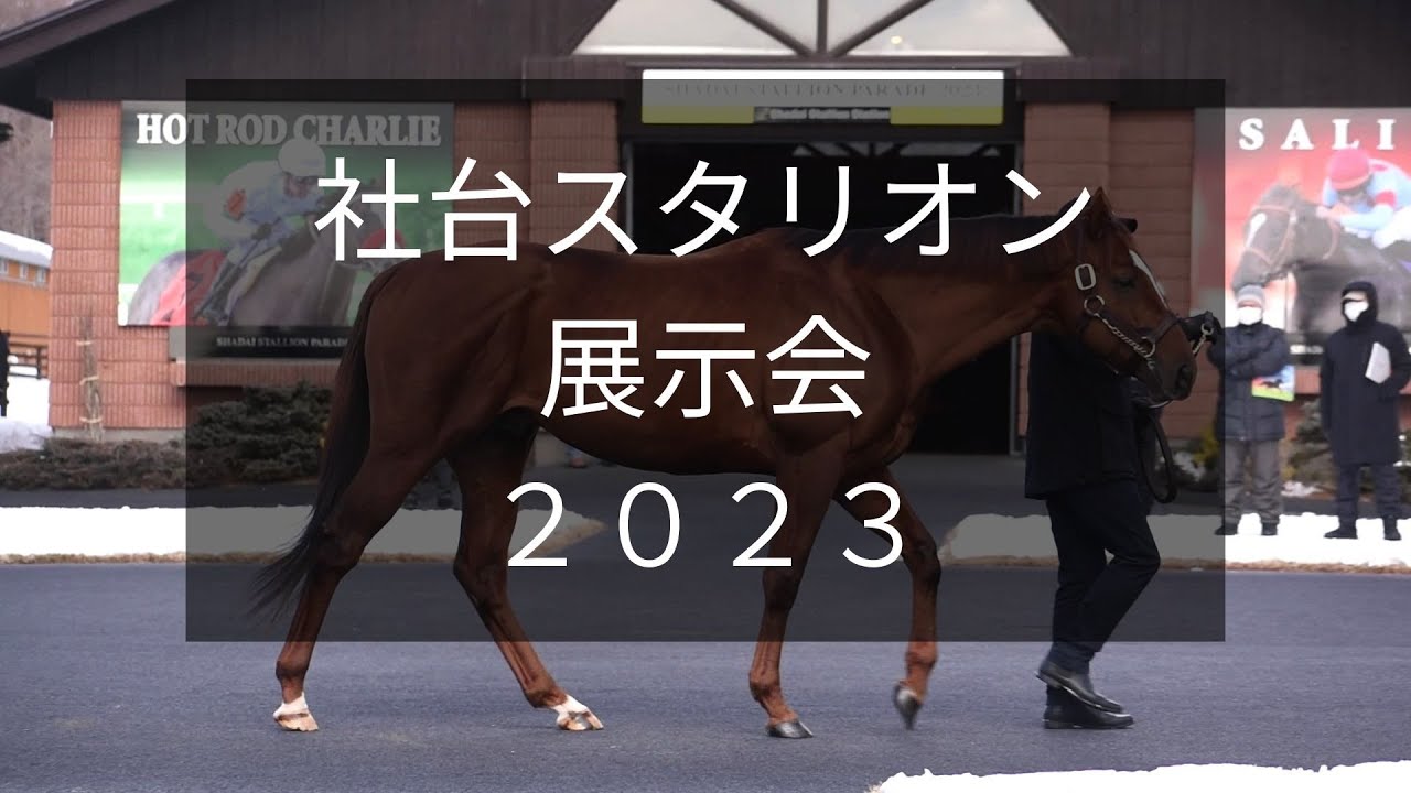 【社台スタリオン展示会2023】朝日杯FS覇者サリオスなど30頭が登場！