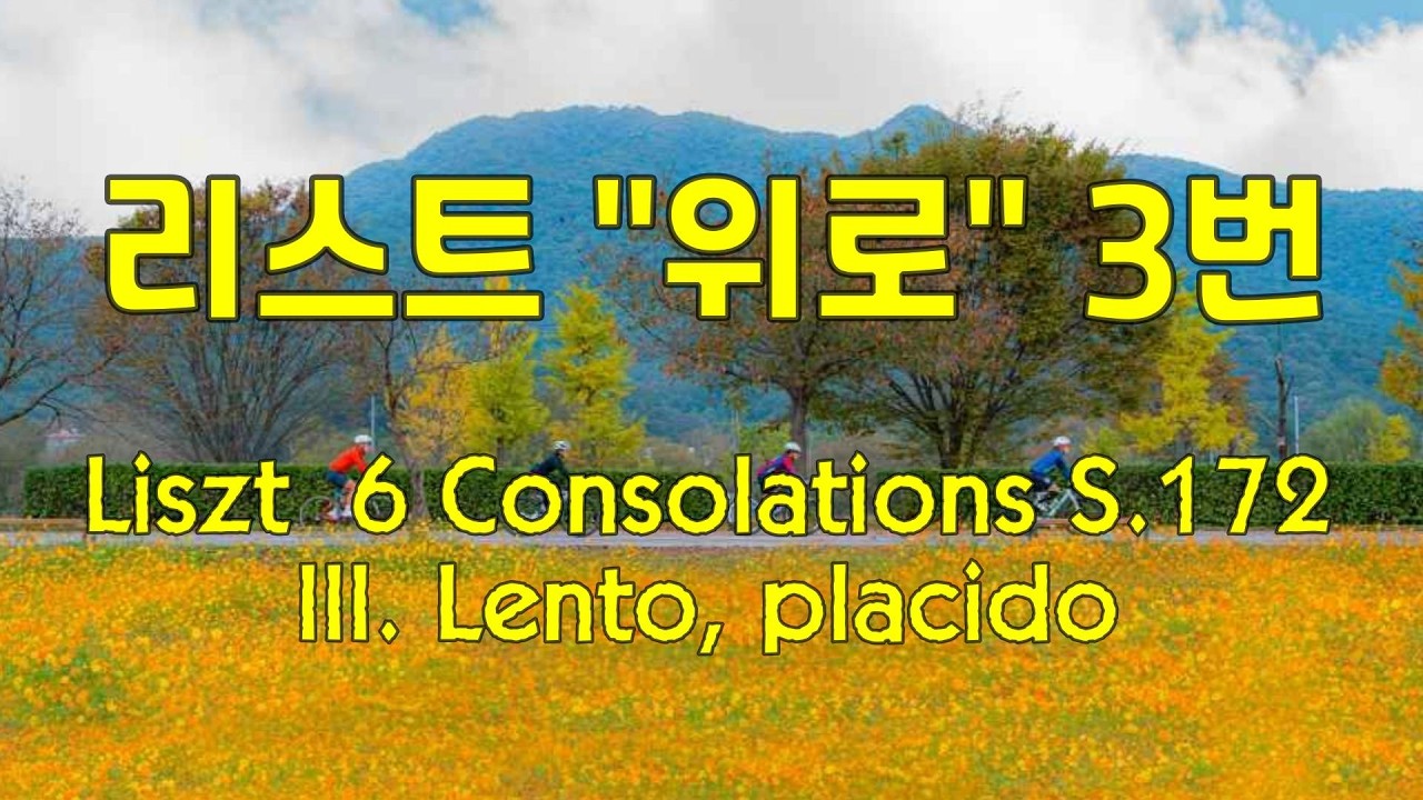 리스트 