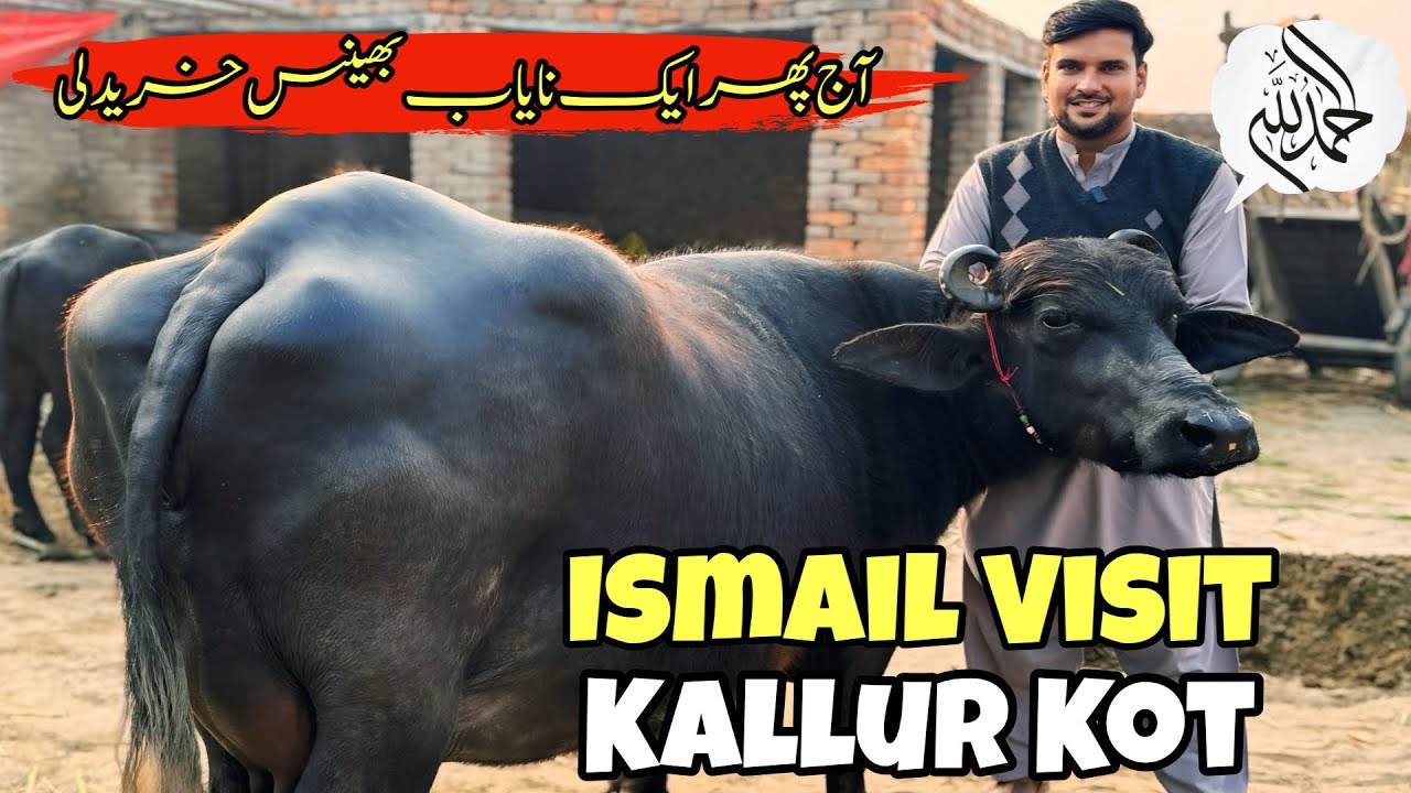 Ismail Jutt visit Kallur Kot