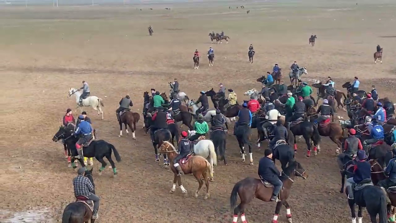 15.02.2026 Айдос шабандоз Арыс көкпар