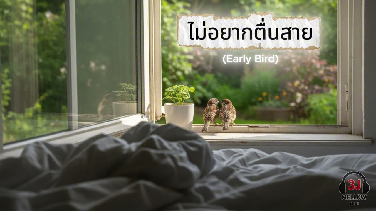 ไม่อยากตื่นสาย ( Early Bird ) - 3J Mellow TH [ Official Audio ]