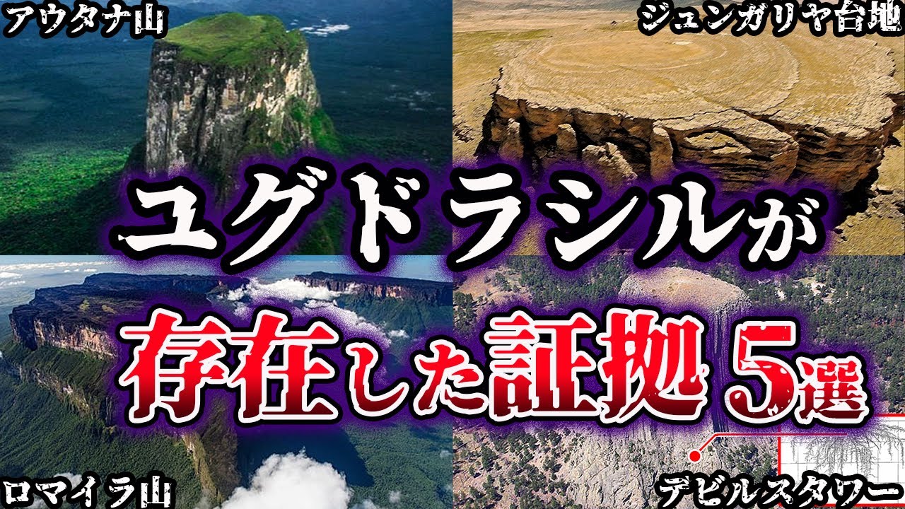 【ゆっくり解説】古代に巨大樹ユグドラシルが存在した証拠５選