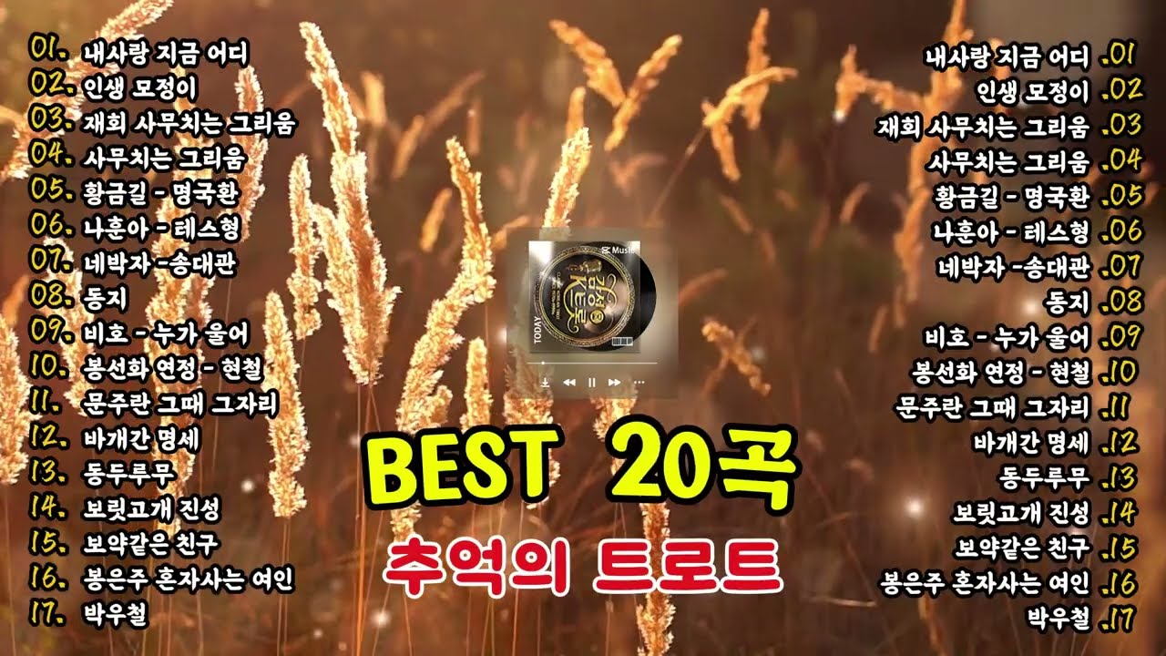 🎤 정통 트로트 베스트 🎶 세월을 담은 트롯 명곡 모음 | 고향이 생각날 때 듣는 노래 🎧 가슴 시린 그 시절 명곡 모음