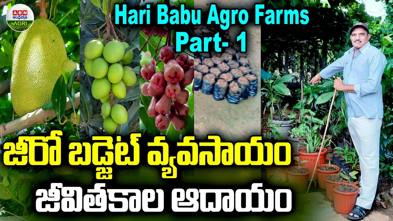 Zero Budget Farming Lifetime Income | Hari Babu Agro Farms - ABN Agri