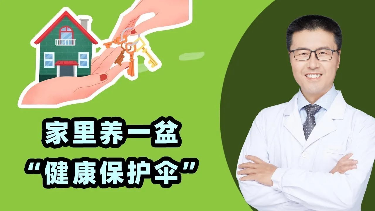 家里养一盆，药费不用花！最安全的健康“保护伞”（中医养生） 【老安谈健康】