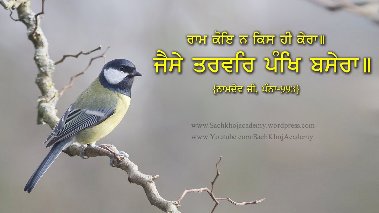 ਨਾਮਦੇਉ ਜੀਉ ॥ਰਾਮਕਲੀ॥31॥ਮਾਇ ਨ ਹੋਤੀ ਬਾਪੁ ਨ ਹੋਤਾ .... ॥Bhagat Namdev॥ :- Dharam Singh Nihang Singh #DSNS