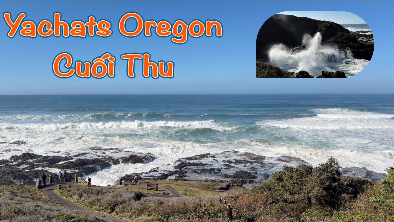 Yachats Oregon Cuối Thu -Oregon Biển Mùa Thu - The Best Of Yachats,OR -2025 Yachats Oregon-Vl 313