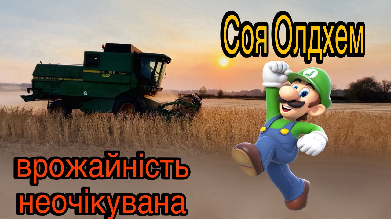 Уборка сої «Олдхем». Скільки дала культура, вперше посіяна⁉️Комбайн маленький,виявився непоганий 👍