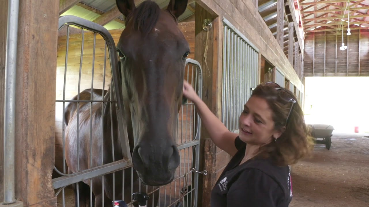 Thoroughbred Retirement Foundation Feature