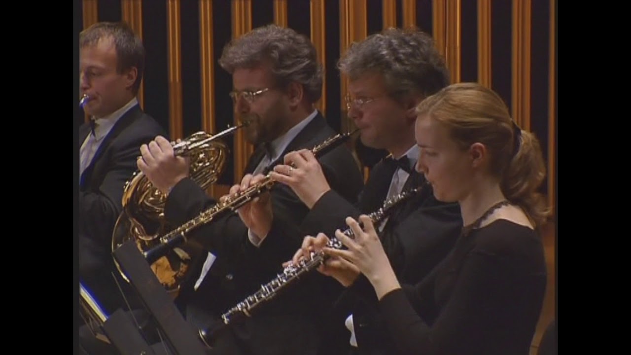 W. A. Mozart - Violin Concerto in B-flat major No. 1, K.V. 207 (3rd movement - Presto)