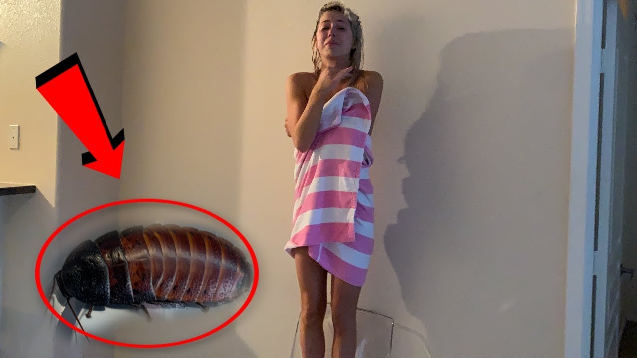 HILARIOUS COCKROACH PRANK ON GIRLFRIEND!!! (SHE CRIES)