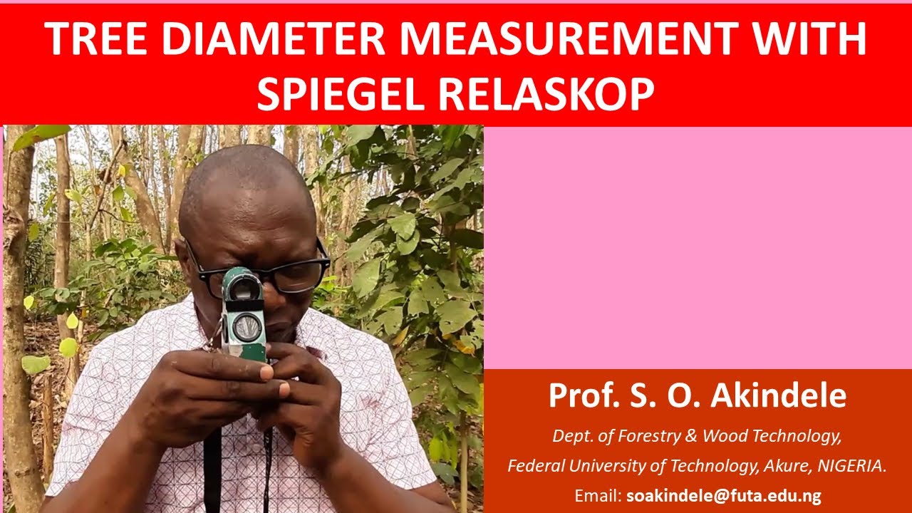 Measuring tree diameter with Spiegel relaskop