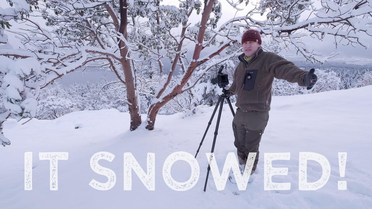 Winter is here! | what to do when you forget your filters