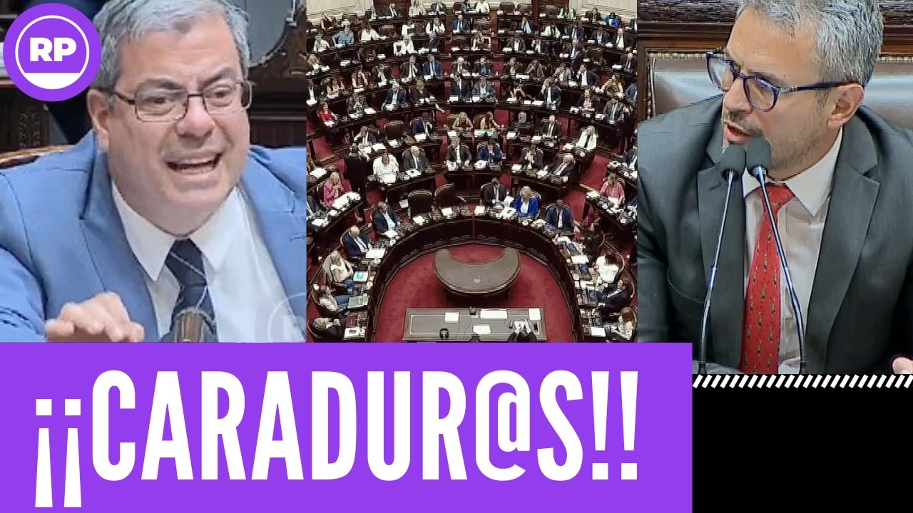 ¡¡EN LLAMAS!! GERMÁN MARTÍNEZ ENCENDIO DIPUTADOS:
