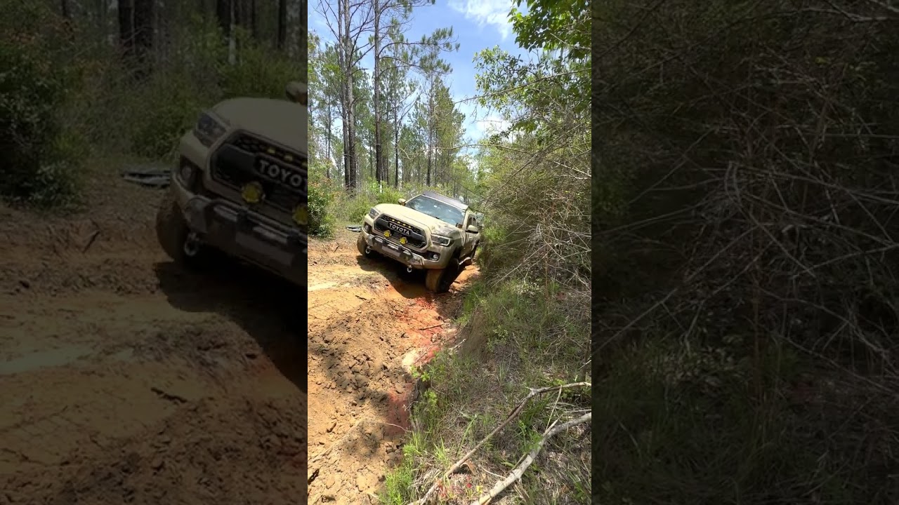 TOYOTA TACOMA TACKLING THE FLORIDA ADVENTURE TRAIL