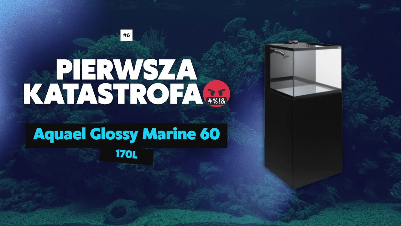 LIVE Aquael Glossy Marine #2 - Pierwsza katastrofa 🤬