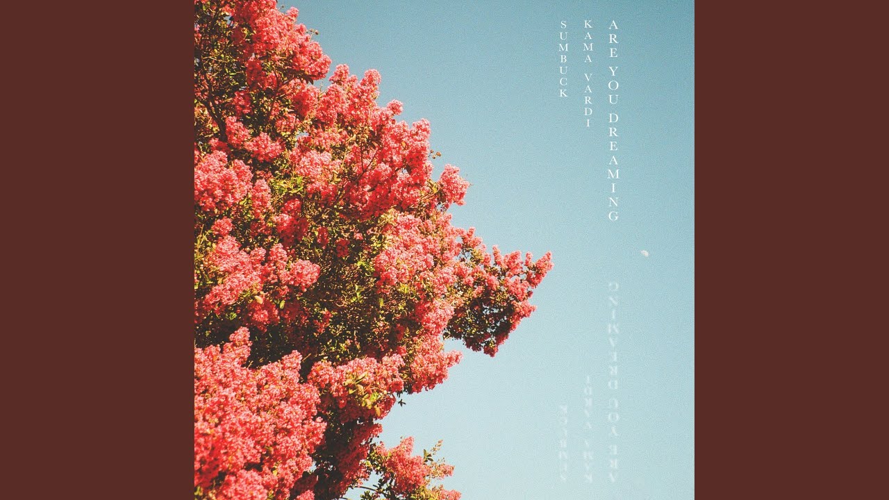 Are You Dreaming (feat. Kama Vardi)
