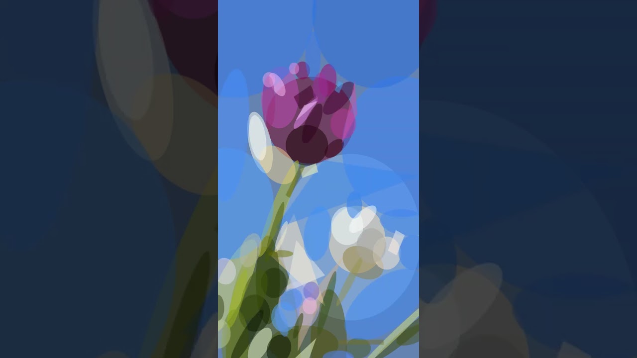 Time-lapse of geometric artwork #timelapse #artistic #relaxing #zen #collage #tulips #flowers