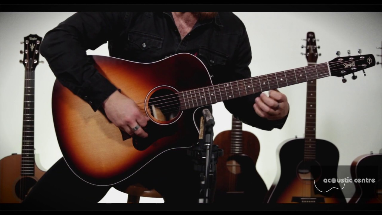 Seagull Entourage Autumn Burst CW / QIT: Acoustic Centre