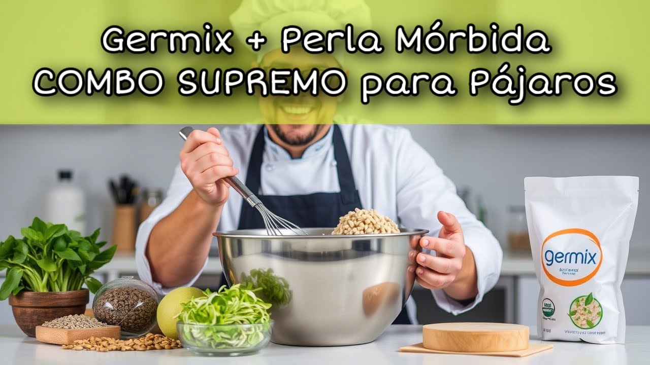 🥇 GERMIX SUPREMO + PERLA MÓRBIDA: ¡La COMBINACIÓN GANADORA para tus AVES! 🌱🐦