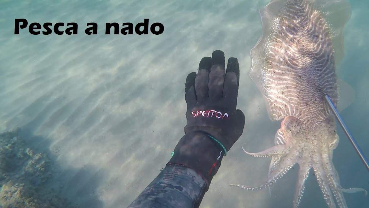Pesca Sepias Gigantes en orilla 1 metro #4