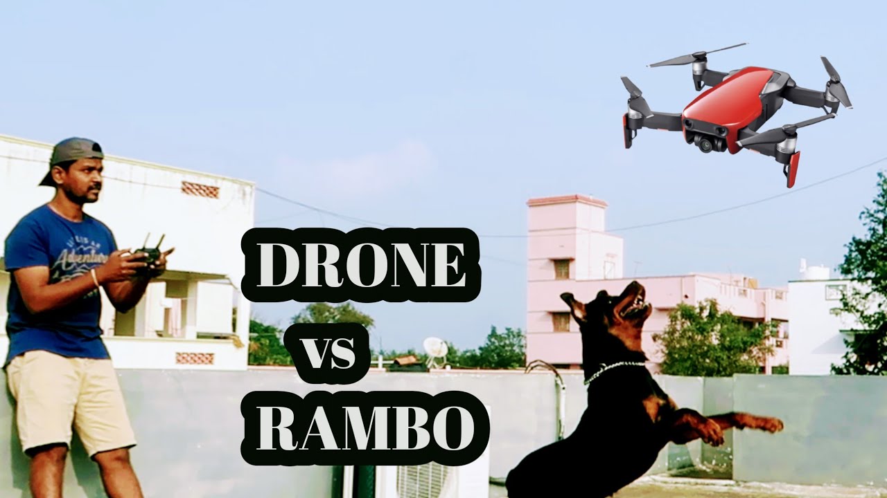 DRONE vs RAMBO | மல்லுக்கட்டும் மாவீரன் RAMBO 😂 | Tamil Vlog