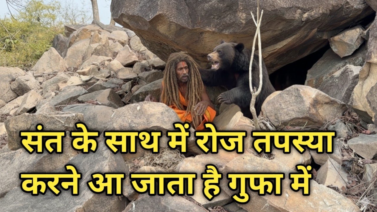 संत के साथ में रोज तपस्या करने आ जाता है गुफा में
