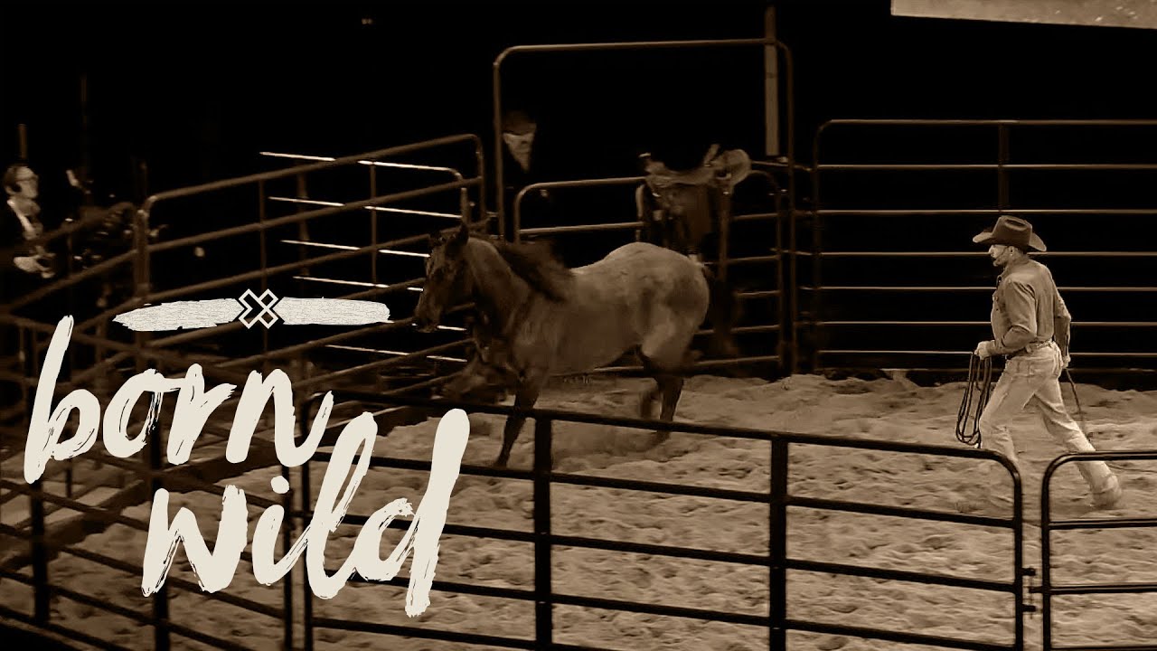 Training A Wild Horse In An Hour | Born Wild 5pm (LIVE)