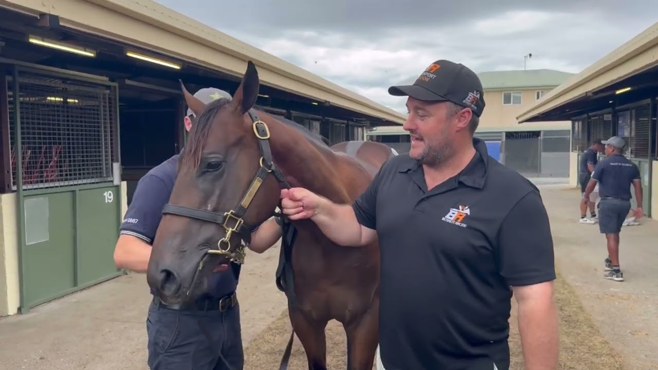 Lot 922 Zoustar x She&rsquo;s So High Colt
