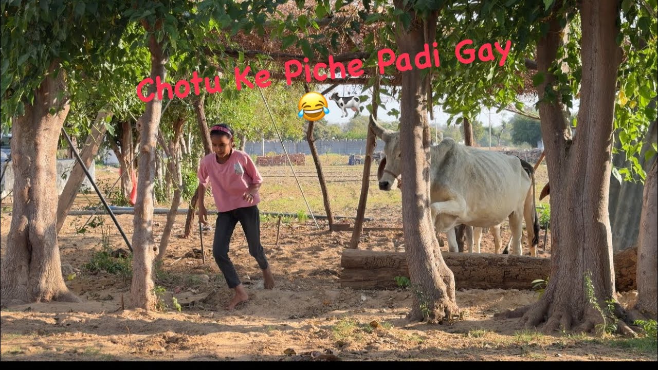 “Gaav Me Bhatiji Ke Sath Masti 😍 | Chotu Ke Piche Padi Gay 🐄 😂 | Village Vlog