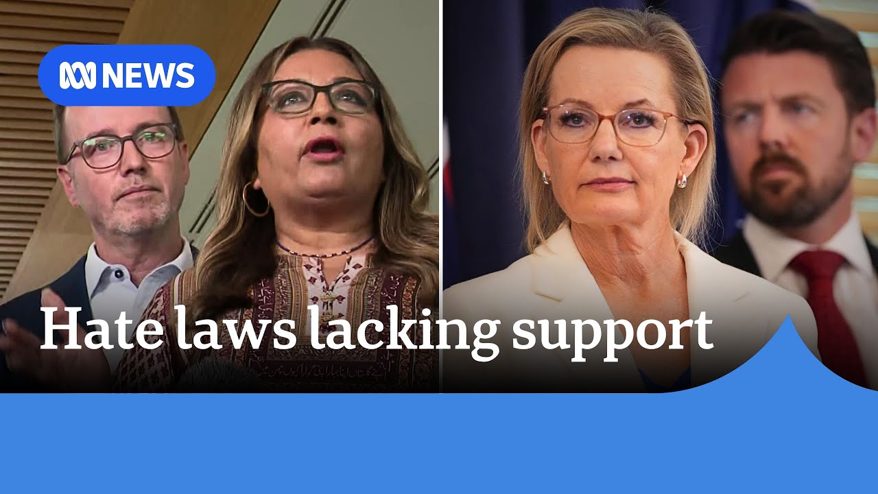 Government's hate crime and gun control bill gets pushback from other parties | ABC NEWS