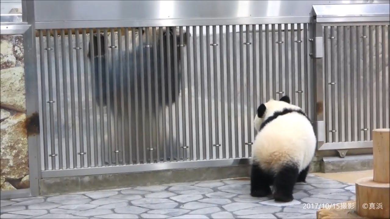娘・結浜を励ます永明パパ🐼