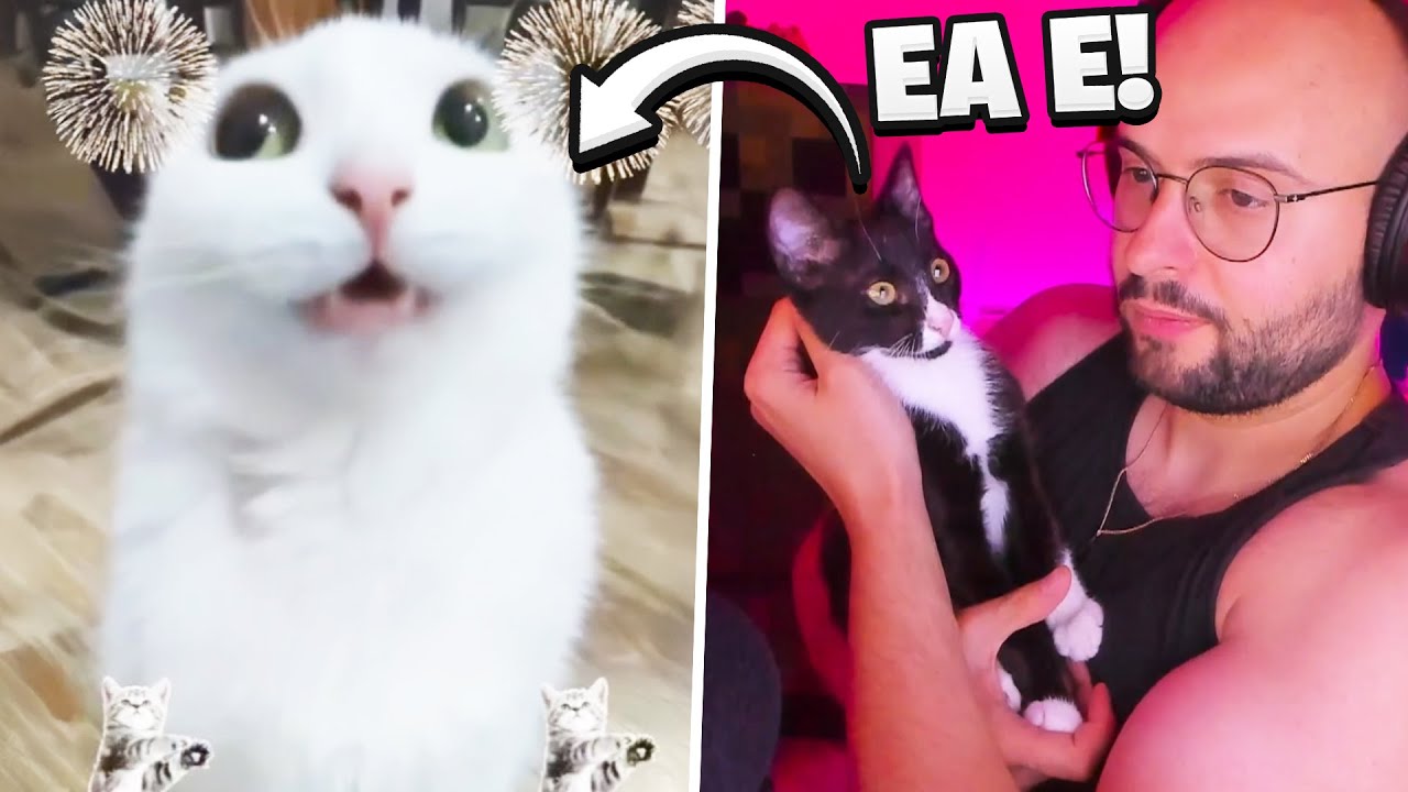 Astea sunt CELE MAI AMUZANTE video-uri pe care LE-AM VAZUT 👀