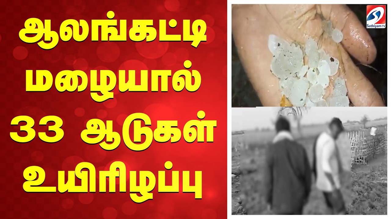 ஆலங்கட்டி மழையால் 33 ஆடுகள் உயிரிழப்பு | Karnataka | Sheep Death | Agriculture | TNWeather  |