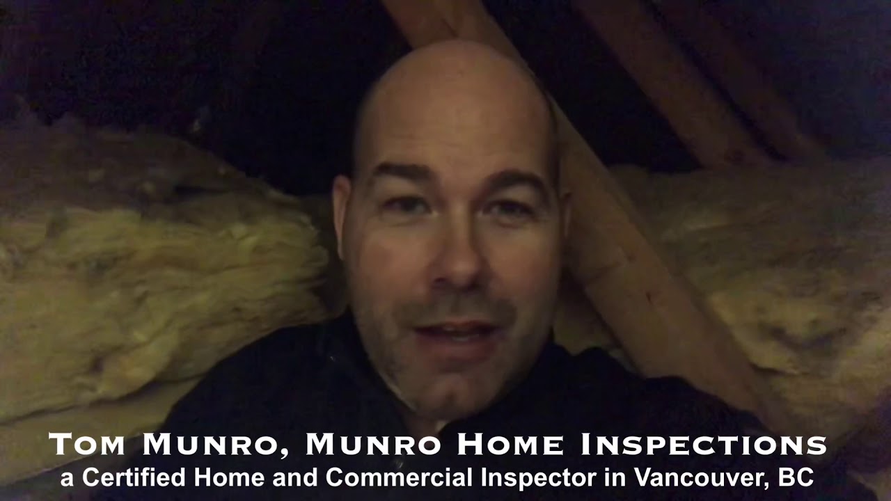 Attic Mold - Townhouse Inspection