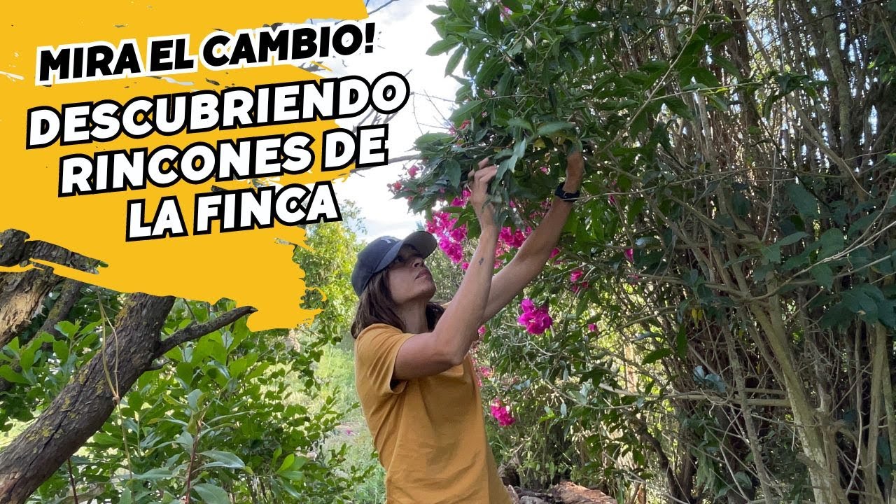 Descubro qué es lo que se escondía en este rincón. Ganando metros al Terreno de la Finca. Vlog101